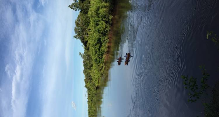 Sur les traces du jaguar (vols intérieurs inclus) - ETours Brazil DMC 10