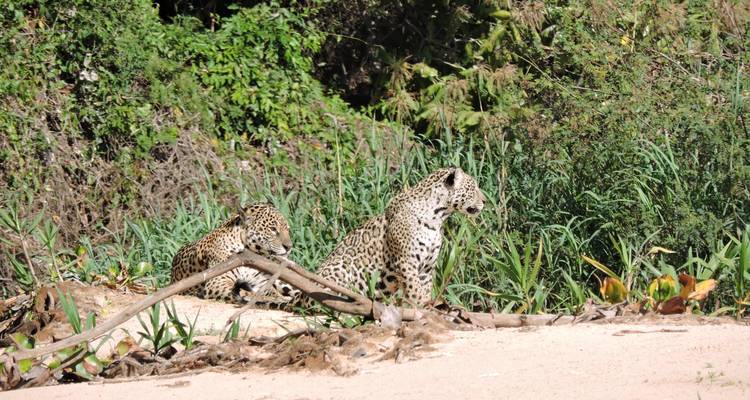 Northern Pantanal Roundtrip - ETours Brazil DMC 2