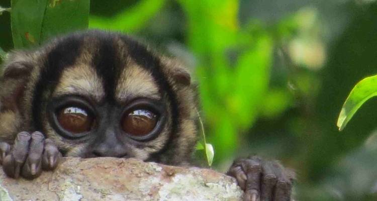 Circuit de 7 jours en groupe dans la réserve naturelle de Cuyabeno pour les voyageurs homosexuels - Responsible Travel South America 3