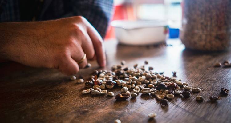 5 Days in Colombia: Coffee, Nature & Culture in Quindío - Responsible Travel South America 2