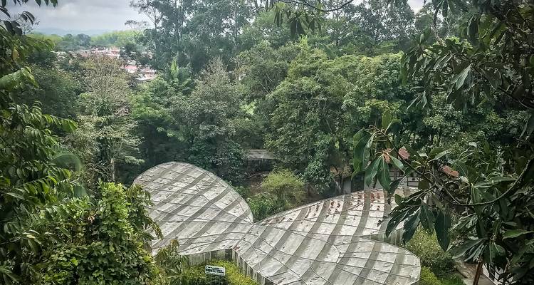 5 Days in Colombia: Coffee, Nature & Culture in Quindío - Responsible Travel South America 4