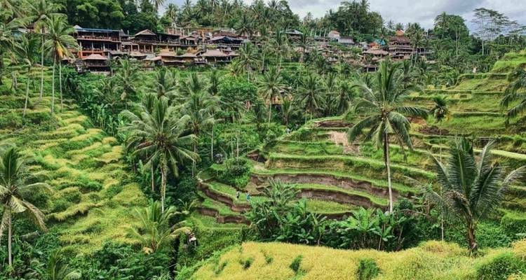Bali Komodo - mytripology 4