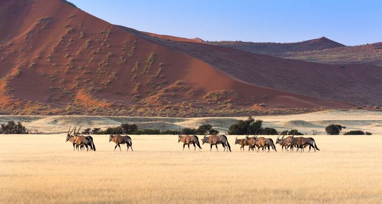 Namibia y Ciudad del Cabo: La aventura del Glamping se une a una escapada urbana - journaway 6