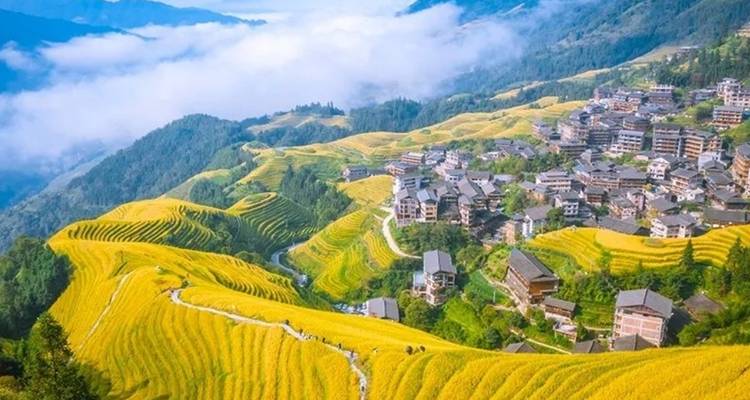 12 jours en Chine à la découverte de la Perle de l'Orient (guide privé et chauffeur）) - UME Travel Co. Ltd 4