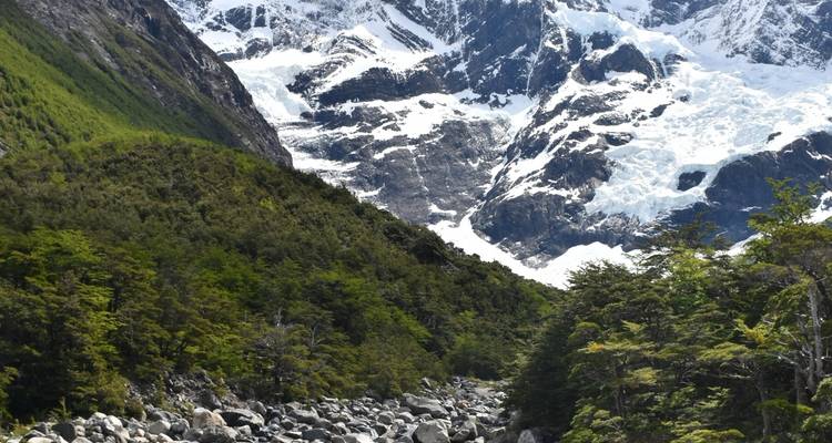 Ein üppiges bewaldetes Tal mit schneebedeckten Bergen.