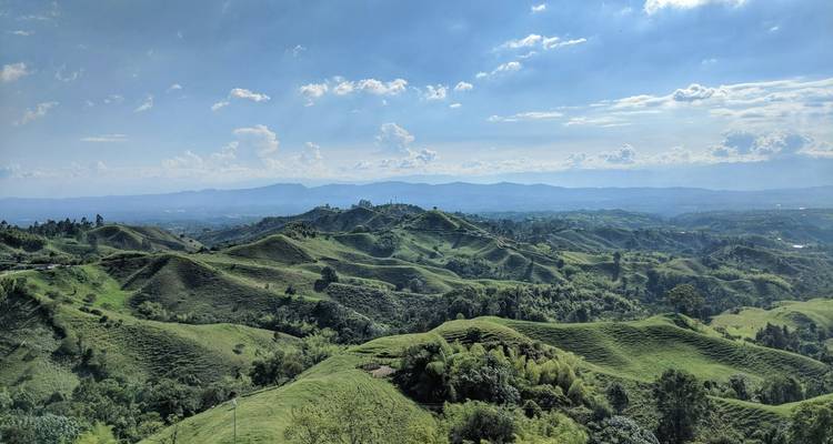 5 Días en Colombia: Café Andino y Aventuras en el Quindío - Responsible Travel South America 6