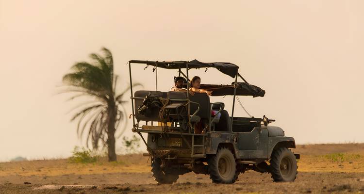 Jeep abierto con dos viajeros en un camino de sabana polvoriento bajo un cielo brumoso y una palmera mecida por el viento
