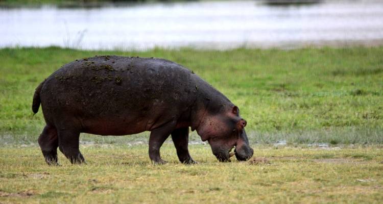 Exotic East African Adventure 7 Days/6 Nights - Across Africa Tours & Travel 2