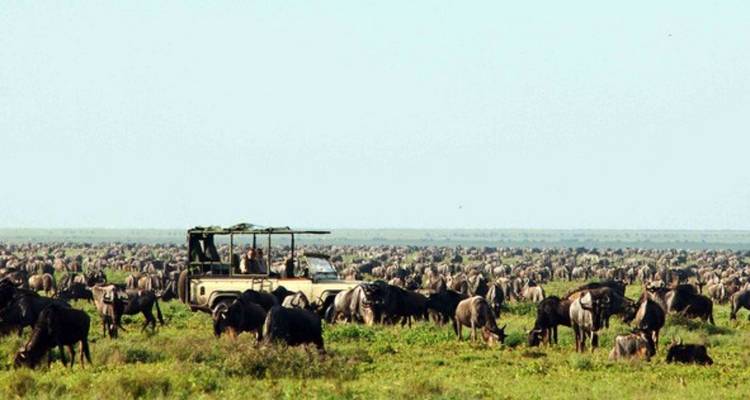 Exotic East African Adventure 7 Days/6 Nights - Across Africa Tours & Travel 8