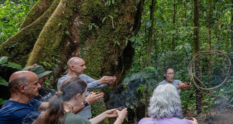 Les participants se tiennent dans un cercle en forêt tropicale luxuriante, tenant des tasses lors d'une cérémonie traditionnelle à côté d'un immense arbre couvert de mousse.