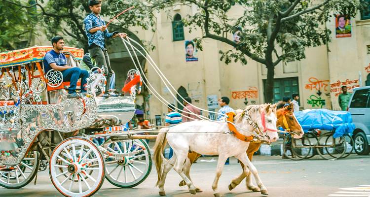 5 jours d'excursion sur mesure au Bangladesh avec faune et flore, départ quotidien et guide privé - Agate Travel 3