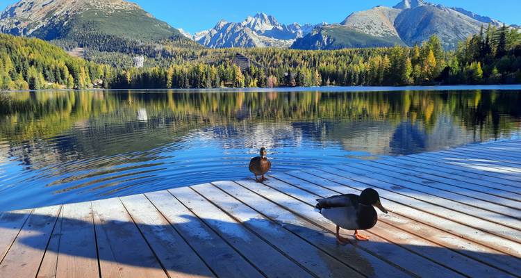 Observation des susliks dans la plaine de Muránská et visite du parc national des Hautes Tatras - Experience Slovakia 4