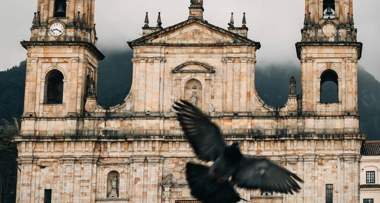Fachada de piedra de la Catedral de Bogotá con una paloma en vuelo