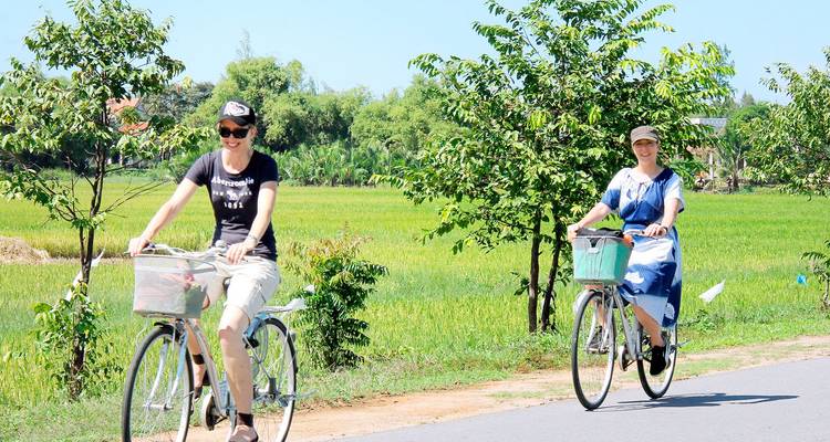 Dos viajeros andan en bicicleta por un camino rural rodeado de campos de arroz verde bajo cielos azules y despejados.