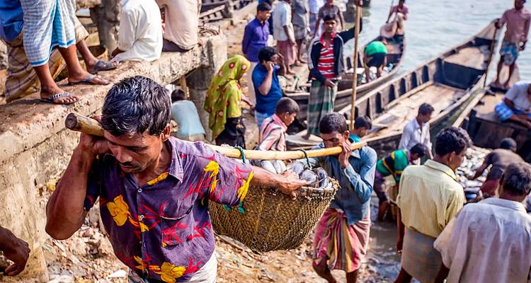 Group of people working and unloading boats.