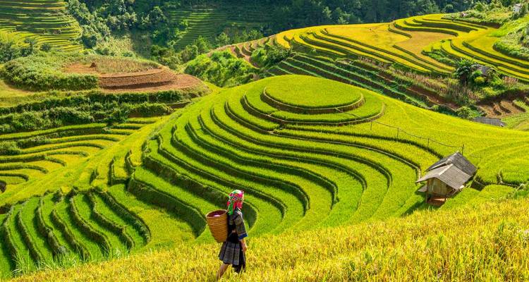 Natural Wonders of Vietnam and Cambodia Hanoi → Siem Reap (2025) - Travel Marvel 1
