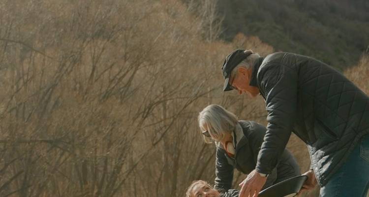 A Self-Drive Odyssey Across New Zealand - Private - Vio Travel 6