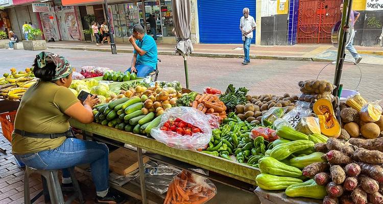 Excursión por los lugares más destacados de Panamá, hecha a medida, salida diaria - Agate Travel 8