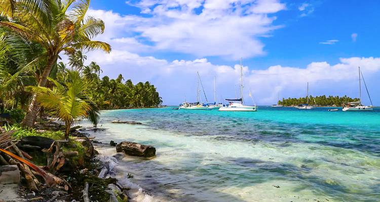 Escena idílica de playa con barcos y palmeras en agua cristalina.