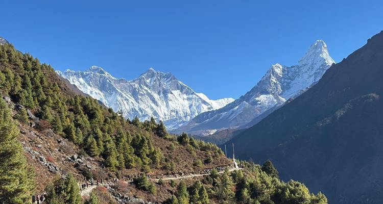 Sentier de montagne parsemé de trekkers menant vers le massif enneigé de l'Everest sous un ciel bleu dégagé.