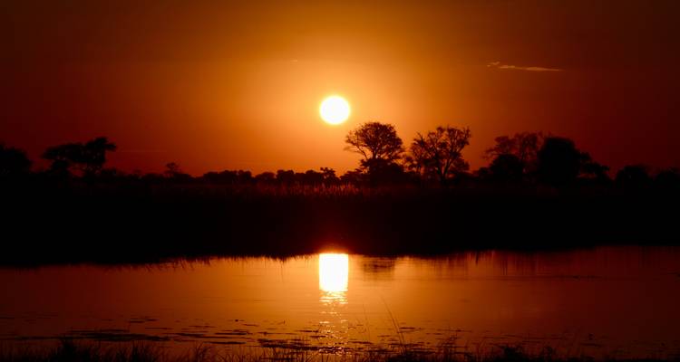 14 Day | Kruger, Vic Falls, Chobe, Okavango Delta  & Cape Town Tour - Timeline Travel DMC 7