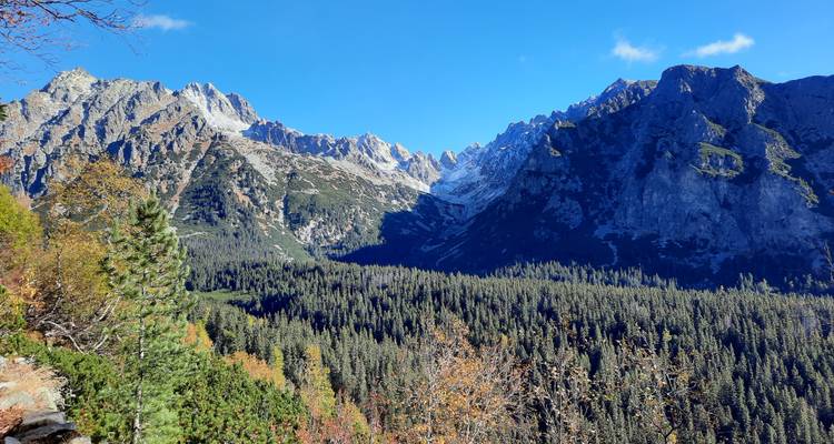 Bear watching hiking tour - Experience Slovakia 8