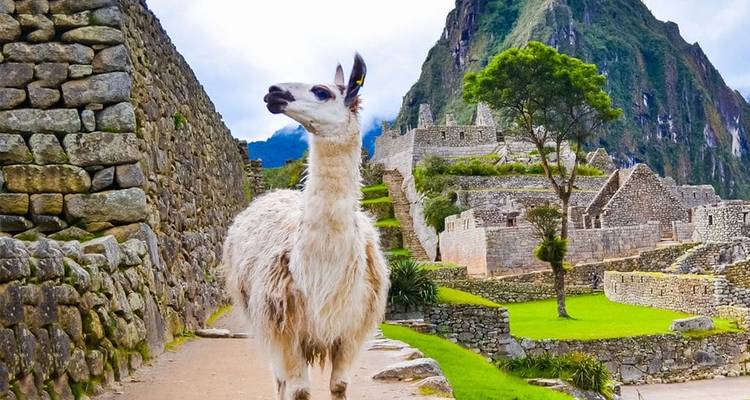 8 jours de Titicaca au Machu Picchu - Responsible Travel South America 2