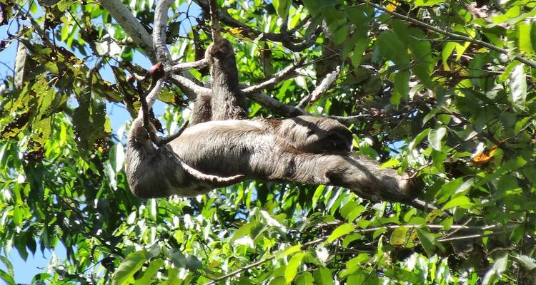 3 Days Amazon Jungle Adventure - Responsible Travel South America 6