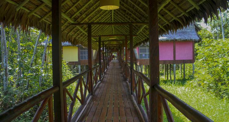 3 Days Amazon Jungle Adventure - Responsible Travel South America 7