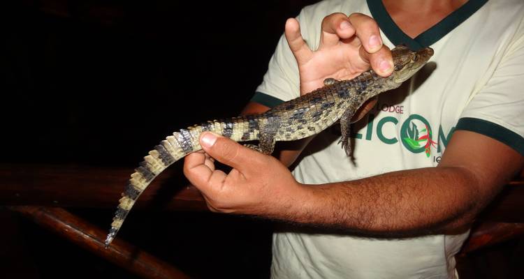 3 Days Amazon Jungle Adventure - Responsible Travel South America 9