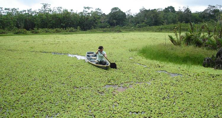 4 jours au cœur de la jungle - Responsible Travel South America 1