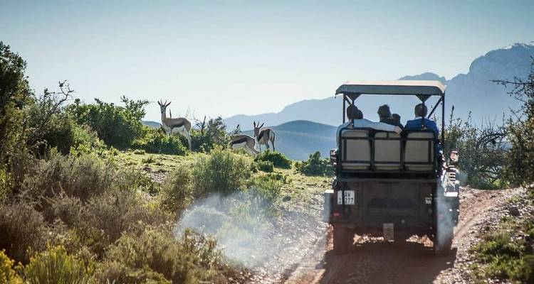Safari exclusivo por Ciudad del Cabo y la Ruta Jardín - Amatungulu Tour 10
