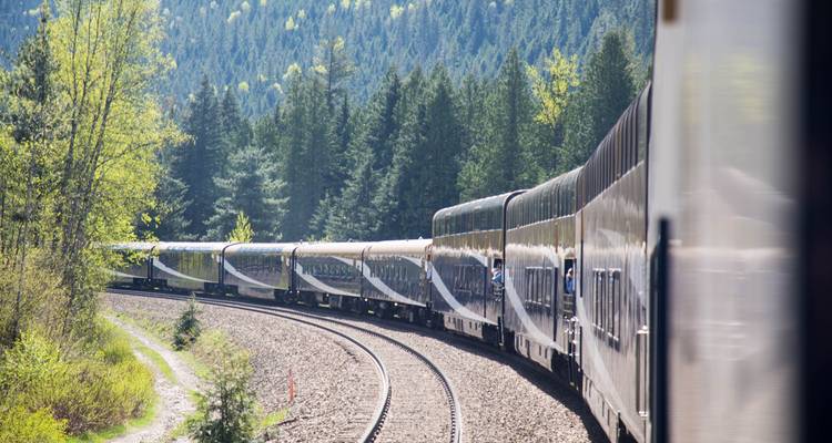 Long train de passagers serpentant à travers les forêts de pins et les contreforts montagneux des Rocheuses canadiennes.