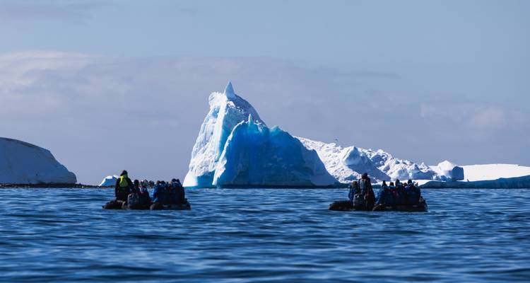Îles Malouines, Géorgie du Sud et Antarctique - Ocean Albatros et Ocean Victory 18J/17N - Albatros Expeditions 9