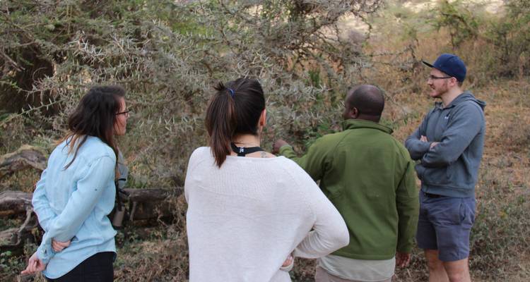 AVENTURE PEDESTRE DANS LES HAUTES TERRES DU NGORONGORO - Tai Adventures & Safaris 1