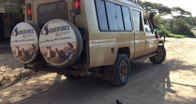 AVENTURE PEDESTRE DANS LES HAUTES TERRES DU NGORONGORO - Tai Adventures & Safaris 6