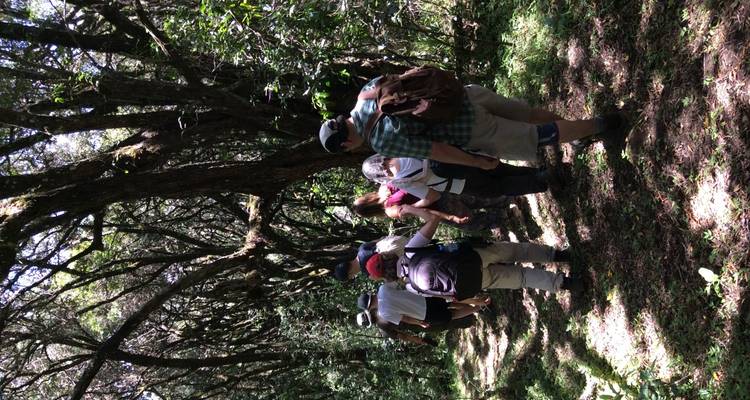 AVENTURE PEDESTRE DANS LES HAUTES TERRES DU NGORONGORO - Tai Adventures & Safaris 8