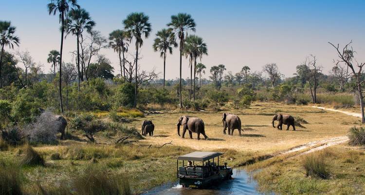 Chutes Victoria, Kruger, Le Cap et les vignobles : des paysages étonnants - Professional Safari Africa 1