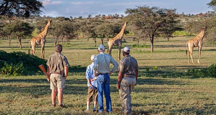 Chutes Victoria, Kruger, Le Cap et les vignobles : des paysages étonnants - Professional Safari Africa 2