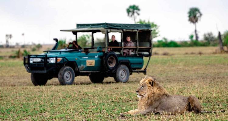 Chutes Victoria, Kruger, Le Cap et les vignobles : des paysages étonnants - Professional Safari Africa 3