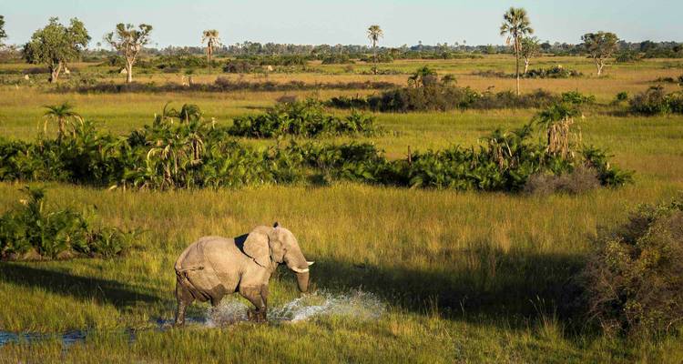 Chutes Victoria, Kruger, Le Cap et les vignobles : des paysages étonnants - Professional Safari Africa 4