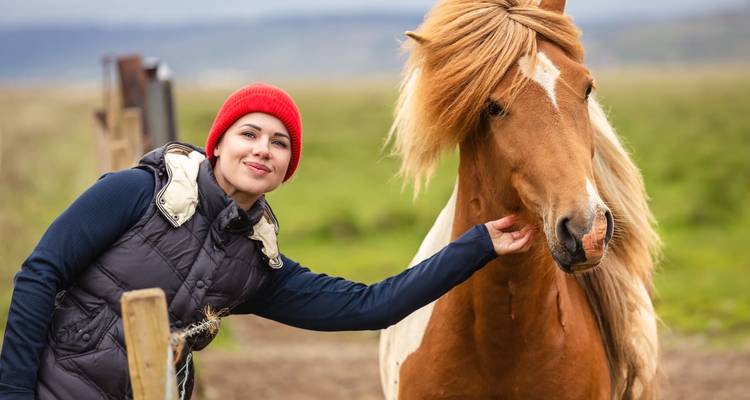 Lächelnde Frau in roter Mütze füttert sanft ein Islandpferd neben einem Holzzaun.
