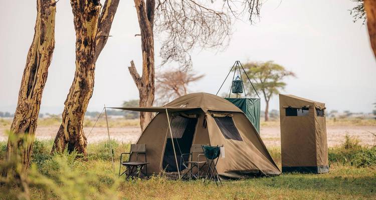 Best of Tanzania - 5 days Lodge Safari - theKili-Guides 7