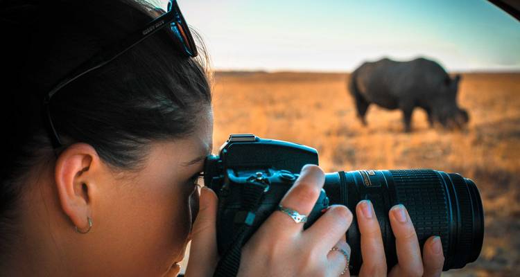Best of Tanzania - 5 days Lodge Safari - theKili-Guides 10