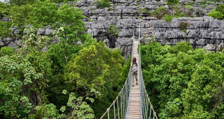 Tsingy de Bemaraha -Kirindy y Baobab - Safari de descubrimiento - Travelia Safari 10