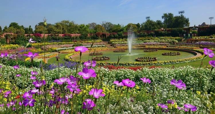 Captivating Kashmir: A Short 4-Day Escape - MTA Destination Management Company 1