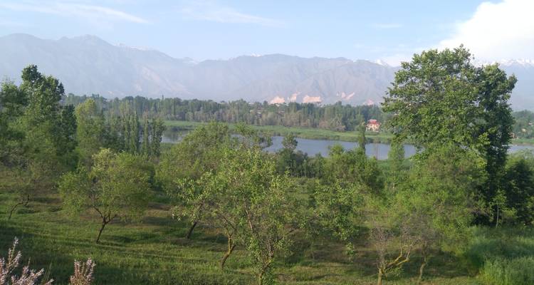 Captivating Kashmir: A Short 4-Day Escape - MTA Destination Management Company 3