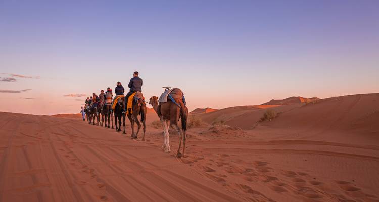 Een groep mensen die op kamelen door een woestijn rijdt.