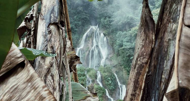 5 Días Colombia-Descubriendo los Tesoros Naturales de Risaralda - Responsible Travel South America 2