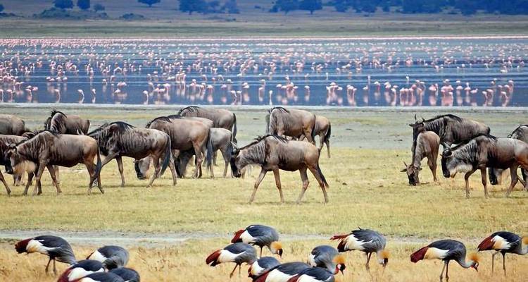 Tanzania - Safari & Beach - Paradise Reise Service 9